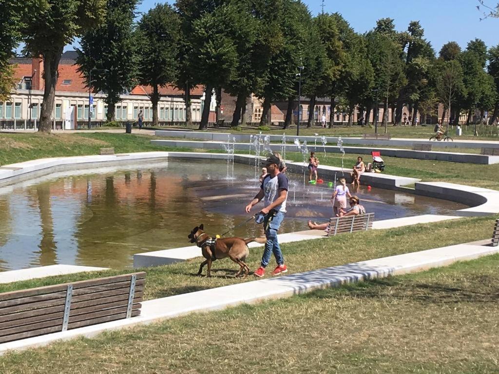 Villa Domus XIX Tongeren Buitenkant foto